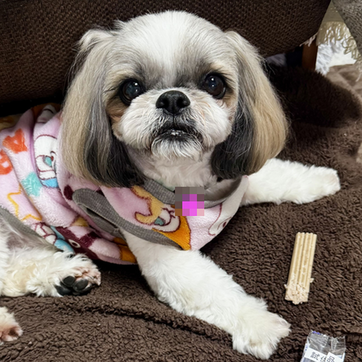 美々杏（びびあん） ♀