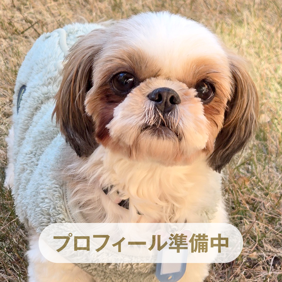 心音（ここね） ♀