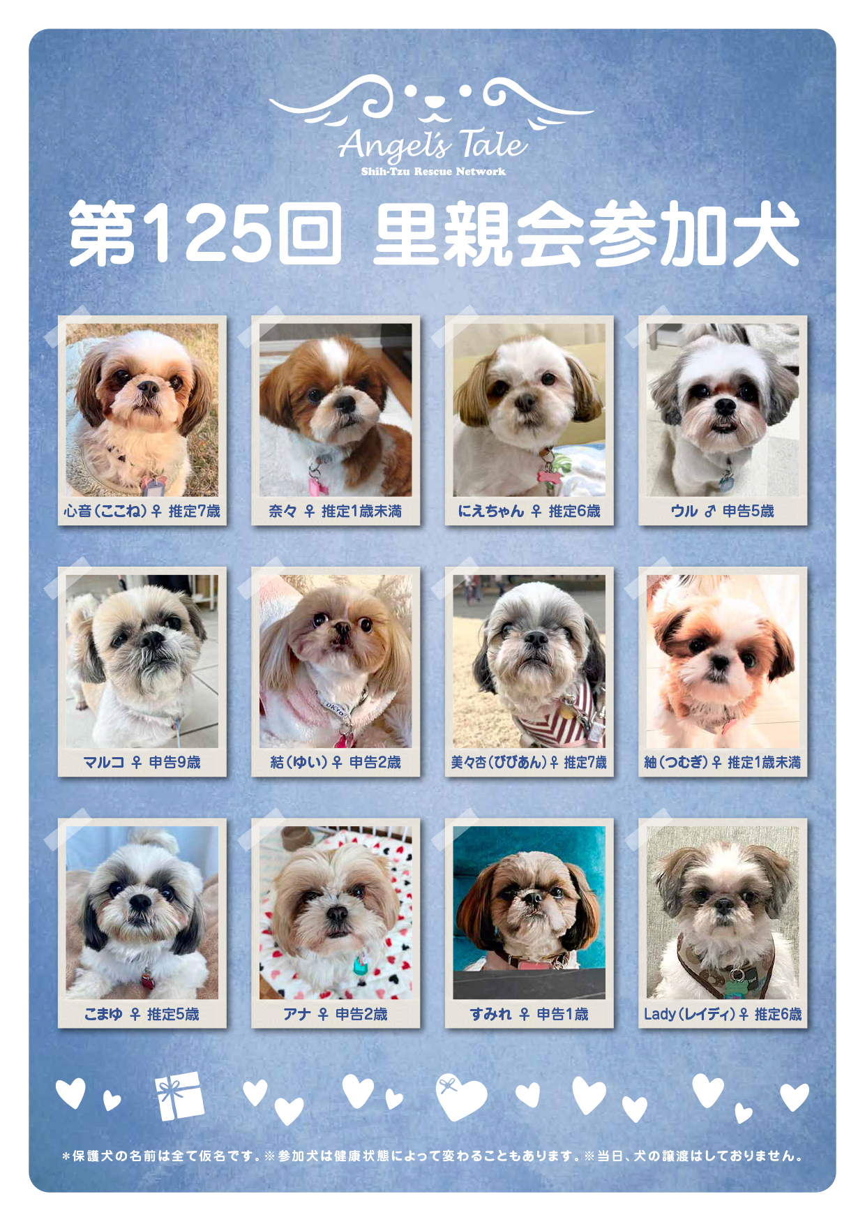 第125回 Angel’s Tale 里親会のお知らせ