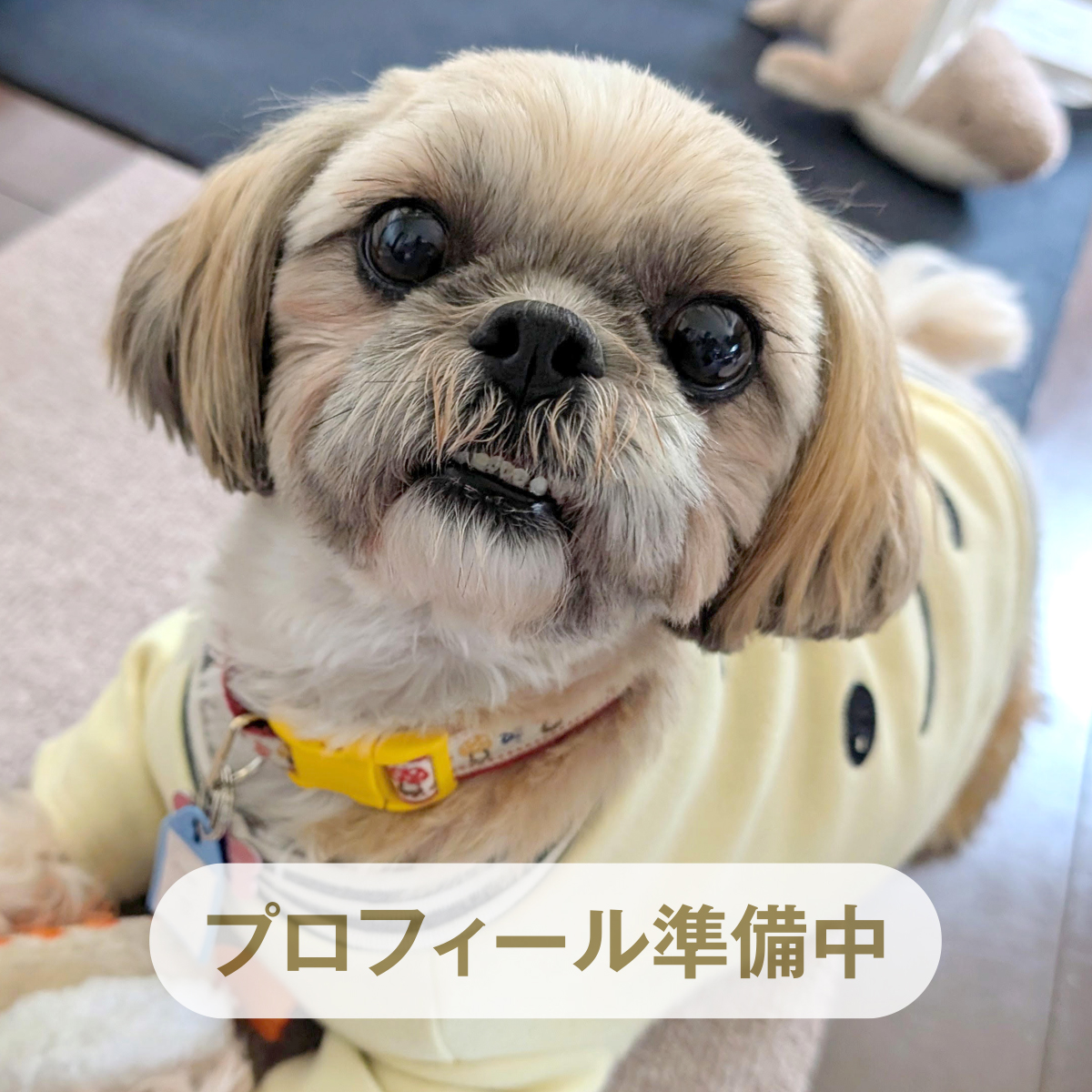 絵馬（エマ） ♀