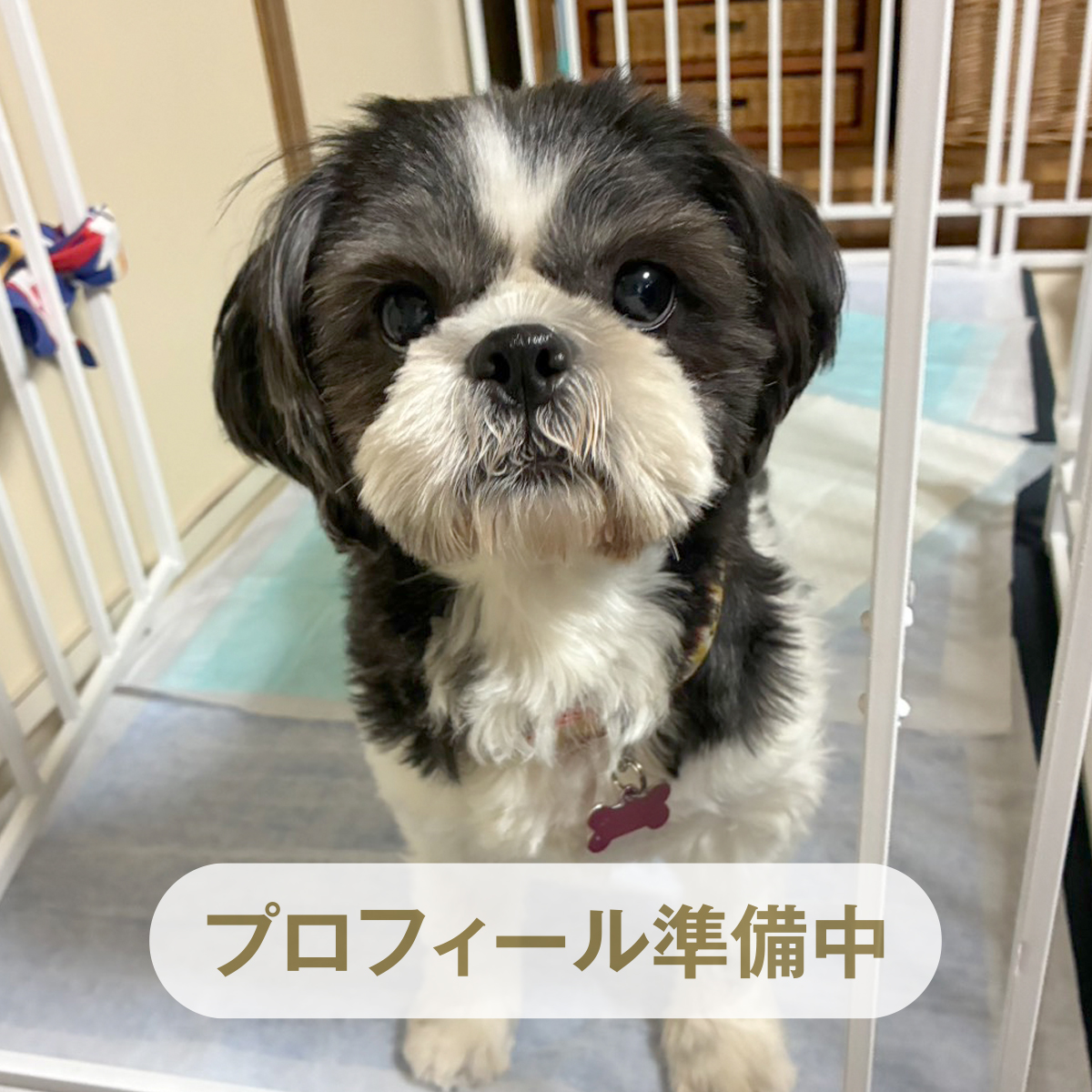 東桜（とうか） ♀