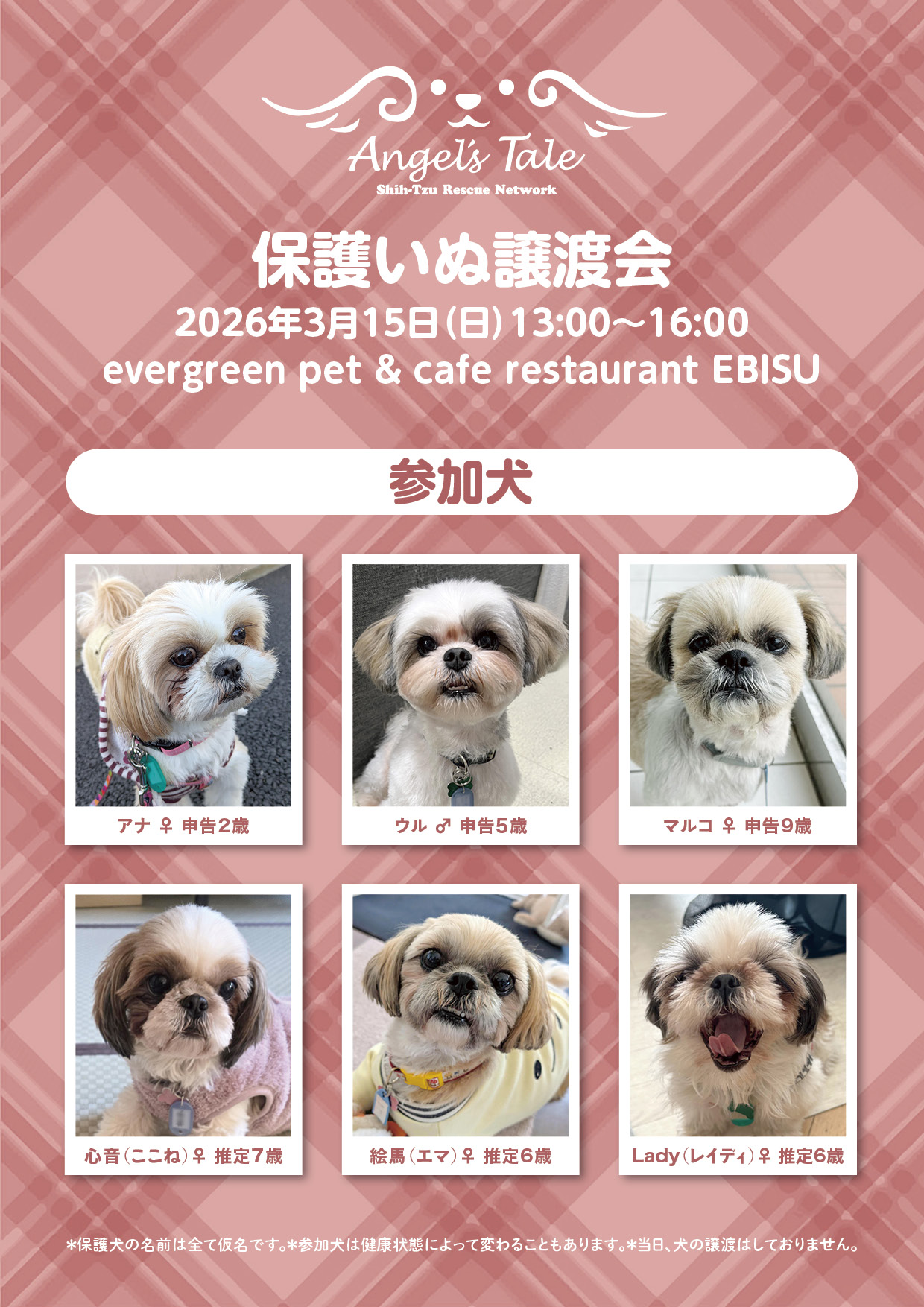 日本動物愛護協会（JPSCA）主催「保護いぬ譲渡会」