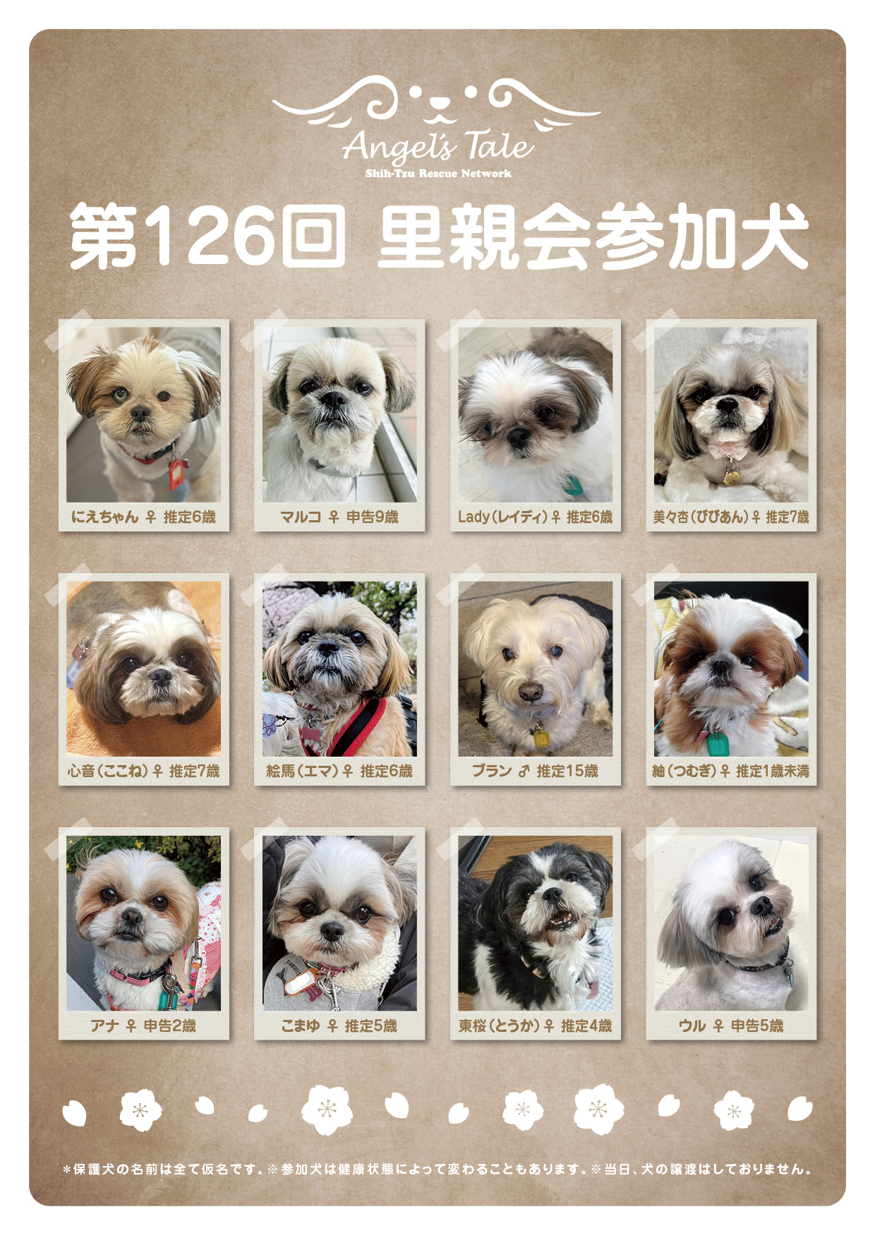 第126回 Angel’s Tale 里親会のお知らせ